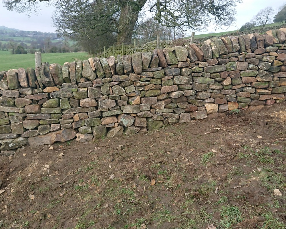 Field Dry Stone Wall
