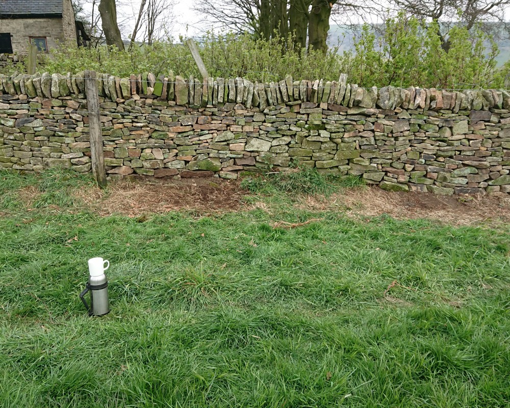 Field Dry Stone Gap Repair