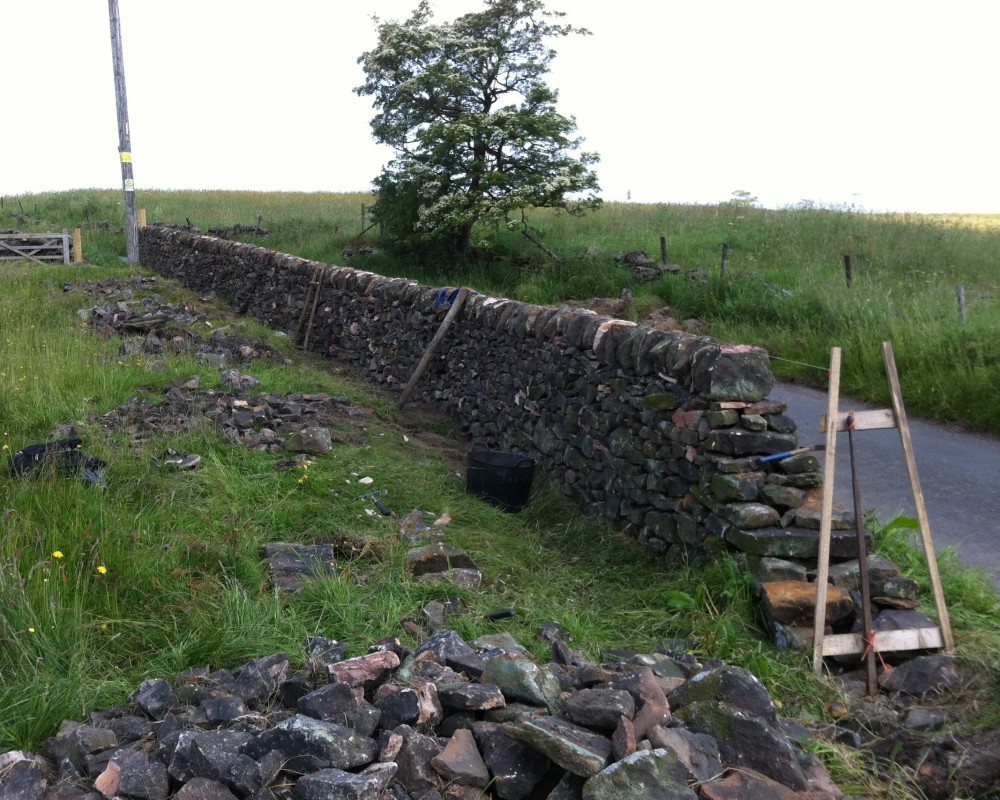 Field Dry Stone Wall