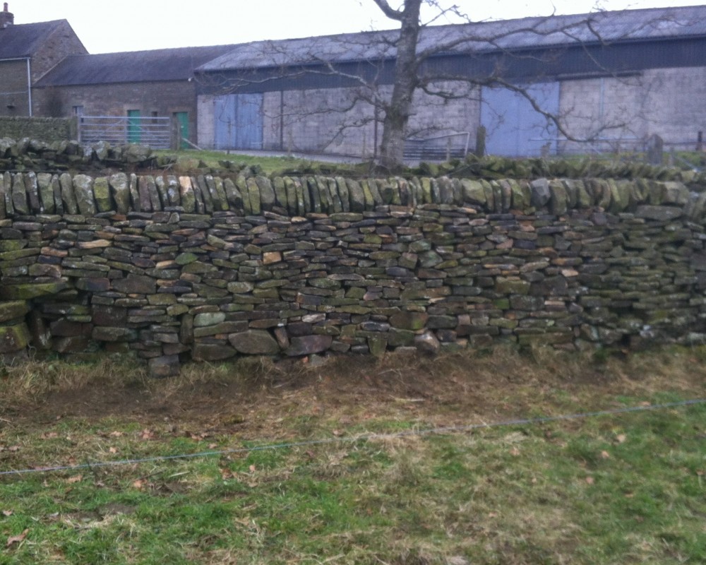 Field Dry Stone Gap Repair