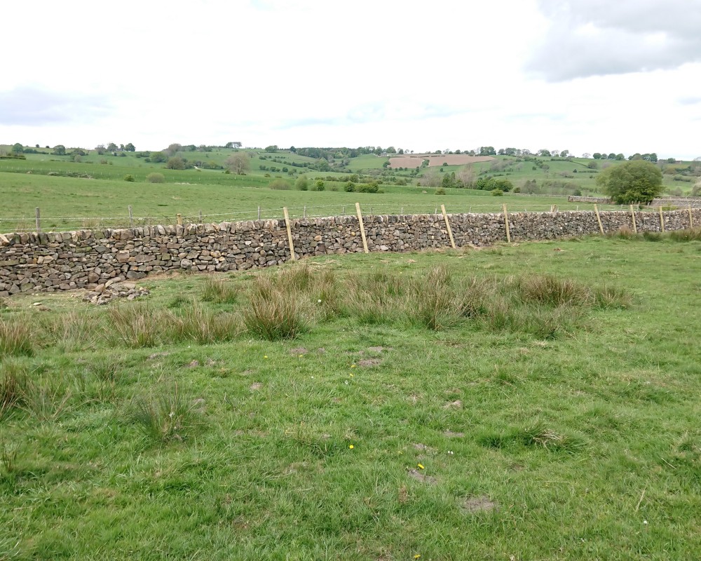 Field Wall